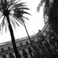 Plaza Reial - Noticias Outlet en Barcelona 66