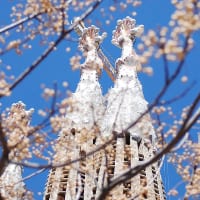 Primavera Sagrada Familia - Noticias Outlet en Barcelona 94