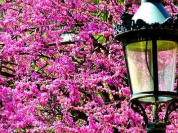 Primavera 2015 - Noticias Outlet en Barcelona 233