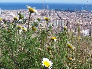 Primavera Barcelona - Noticias Outlet en Barcelona 235