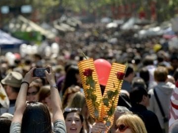 Sant Jordi - Noticias Outlet en Barcelona 237