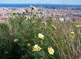 D- Noticias Outlet en Barcelona 264 - Abril 2016