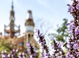 Destacada - Primavera Sant Pau Recinte Modernista - NOB 265