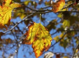 PE - Flickr hipopotamosrosados - Noticias Outlet en Barcelona 273