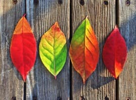 Destacada - Noticias Outlet en Barcelona 276 - Noviembre 2016