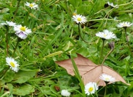 PE - Primavera Barcelona - Montse Ripoll Tarragó - Noticias Outlet en Barcelona 286 - Abril 2017