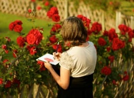 PE - Parc Cervantes - Noticias Outlet en Barcelona 288 - Mayo 2017