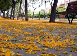 PE - Otoño - Noticias Outlet en Barcelona 295 - Noviembre 2017