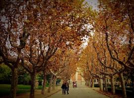 PE - Noticias Outlet en Barcelona 298 - Flickr Marcelo TBR