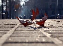 DE PE - Flickr - Tania Cataldo - Noticias Outlet en Barcelona 301 - Enero 2018