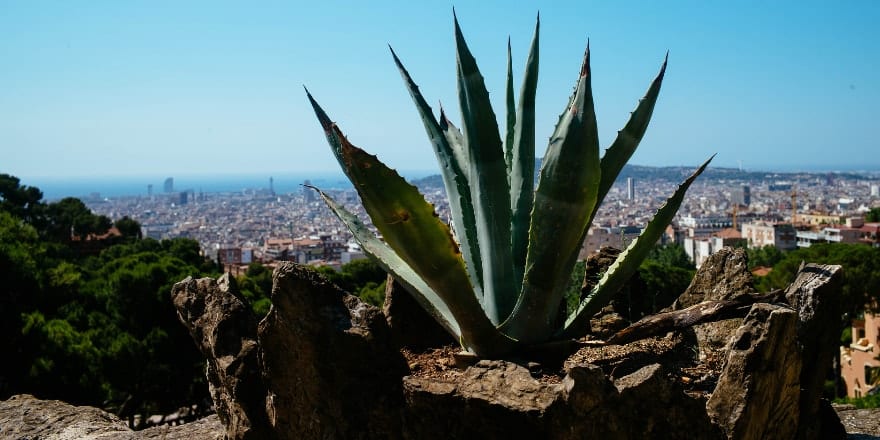 Flickr ebtokyo - Noticias Outlet en Barcelona 310 - Junio 2018